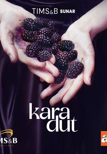 Турецкий сериал Черная Шелковица