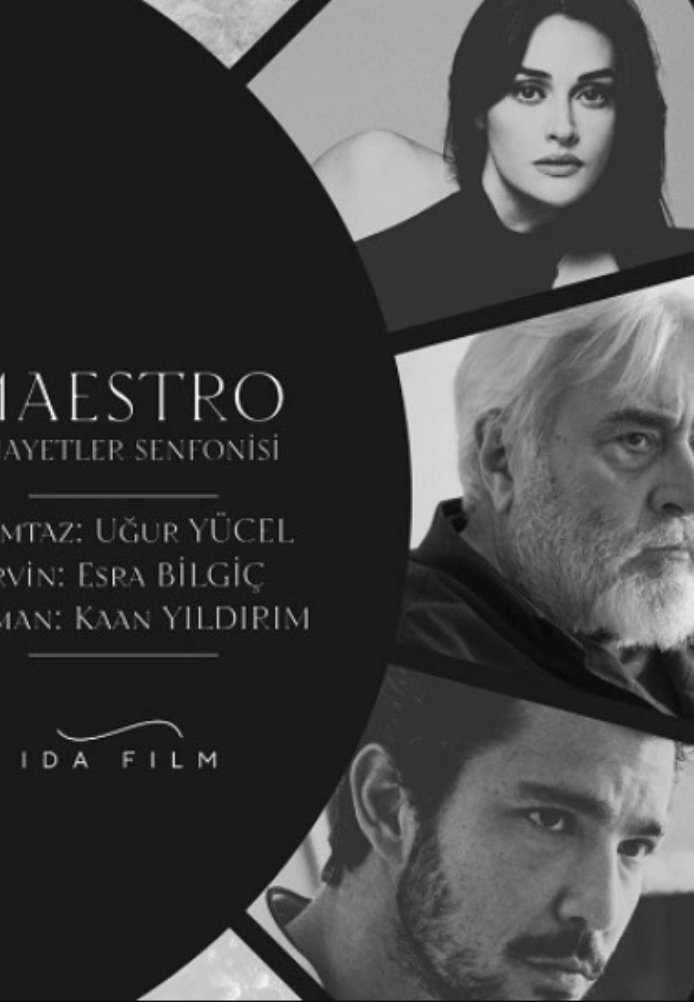 Турецкий сериал Маэстро